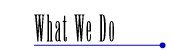 What We Do